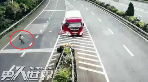 女子为蹭高速免费提前半个月出发